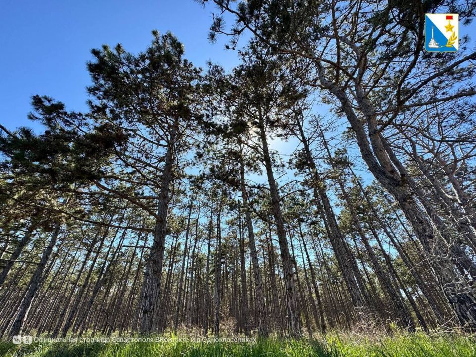 � ����������� ��������� ��������� �����