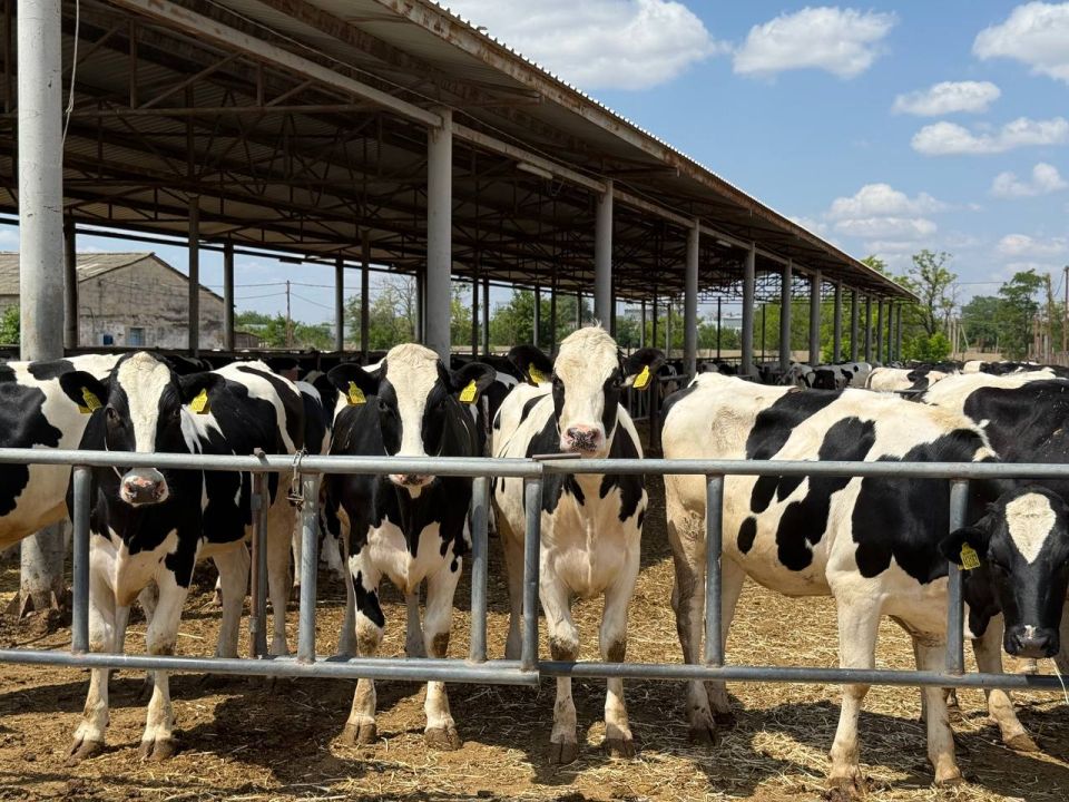 ������ ����������� ������� 17 ��� �������� ������ �� �������������� � ����������� ������������