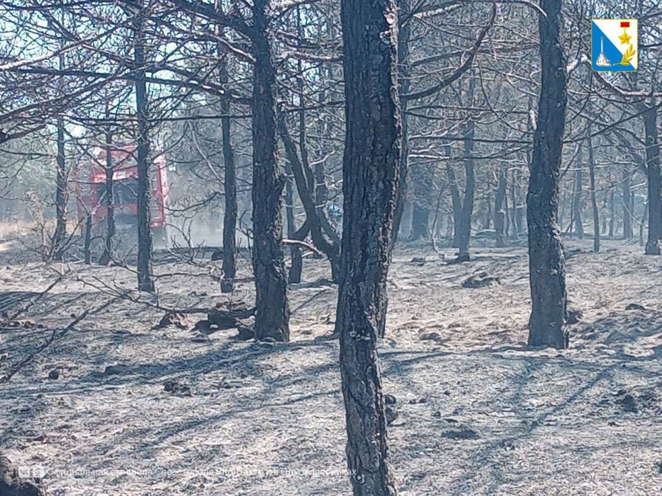 Севприроднадзор зафиксировал рост числа возгораний