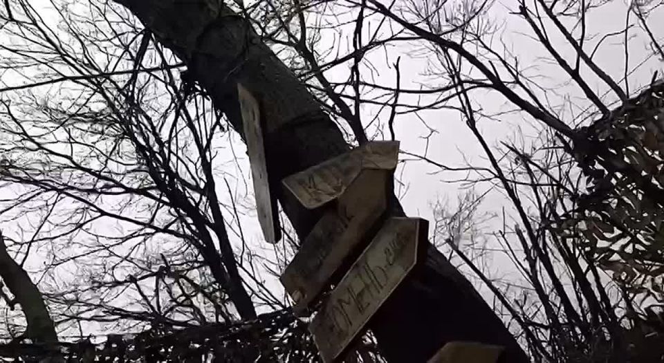 ����� �������� ���������������� ������� ������ ���������� �������� ������� � � ������ �������� ������