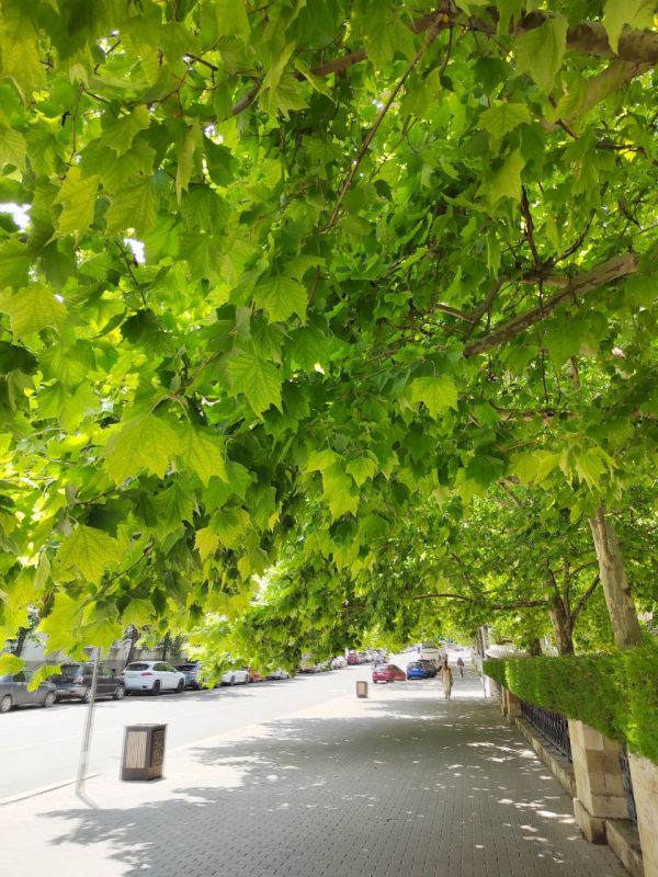 Всем доброго утра!. В Севастополе в четверг без осадков