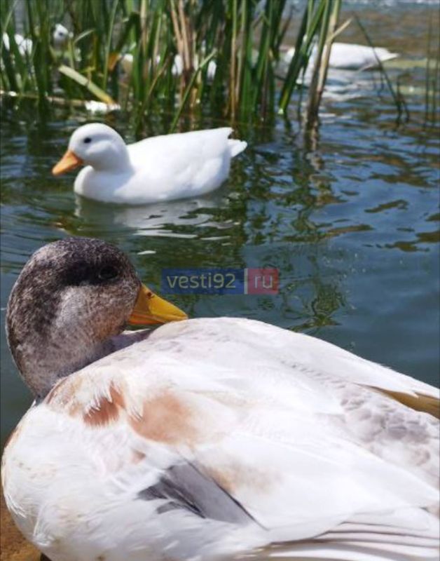 Севастополь, с добрым утром!