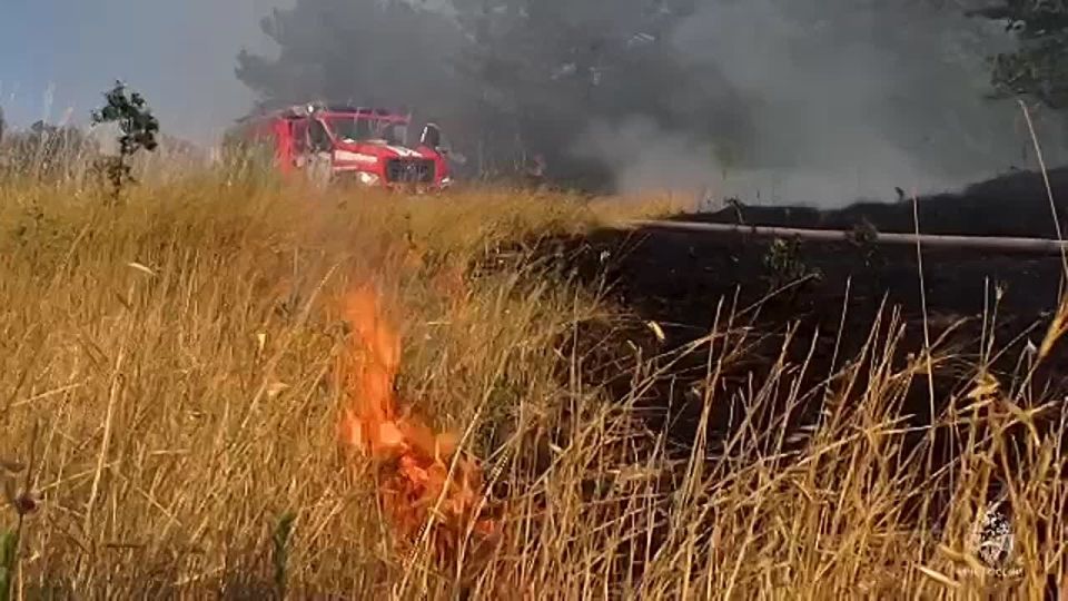 ������ �����, ���������� ����� �����, �������� � �����������