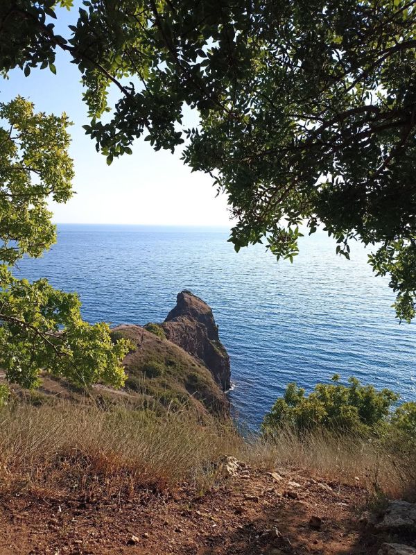 Всем доброй пятницы!. В Севастополе без существенных осадков