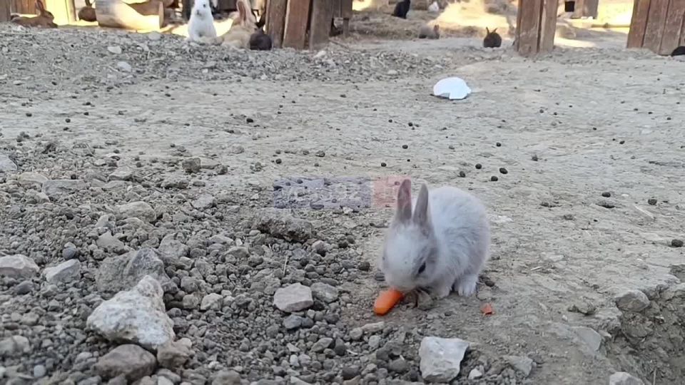 Севастополь, с добрым утром!