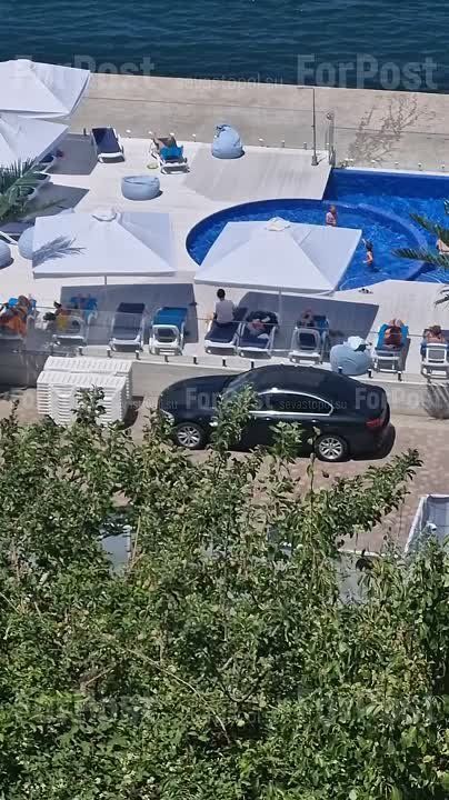 "������������ �������" ����� ���� ������ ����