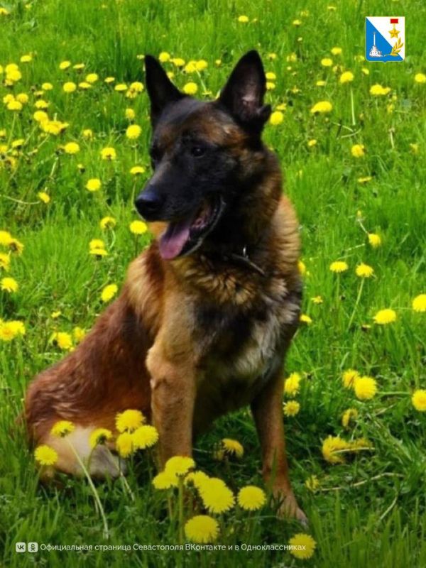 ���������� ���������� � ������������ ������