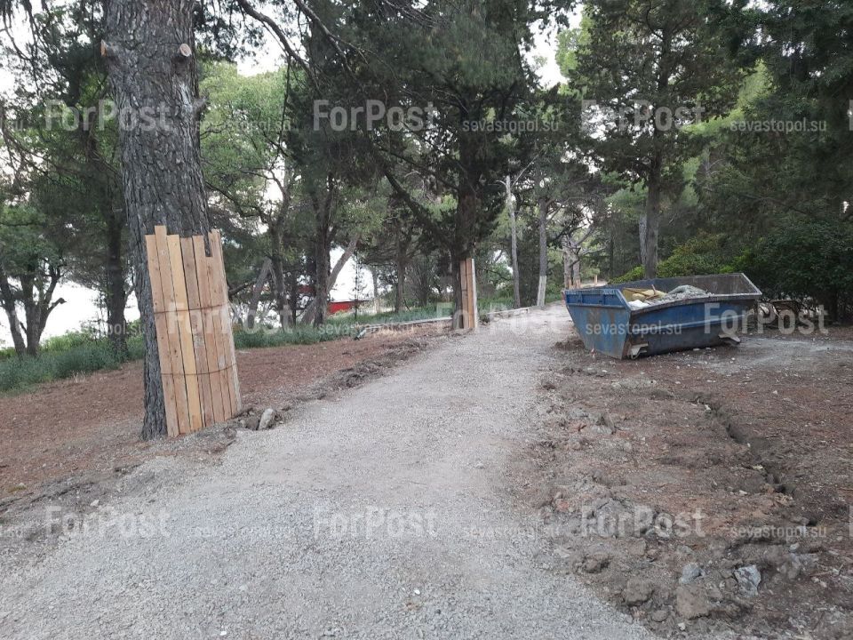 �������� ���������� ���� �� �������������, ������ �����, ������ �� �� ����