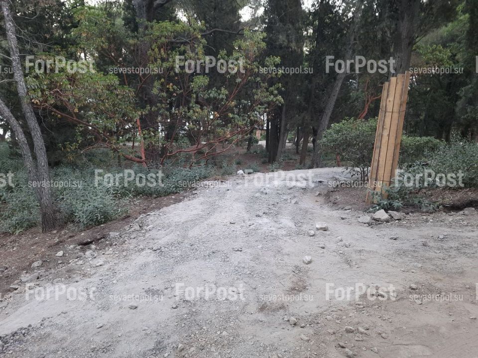 �������� ���������� ���� �� �������������, ������ �����, ������ �� �� ����