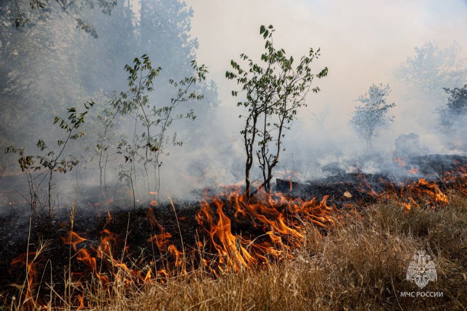 � ������ ����� ����, �� ���������� ���������������� ���, ����� ����� ������ 92 ����, � � ������ ���� � 132 ����