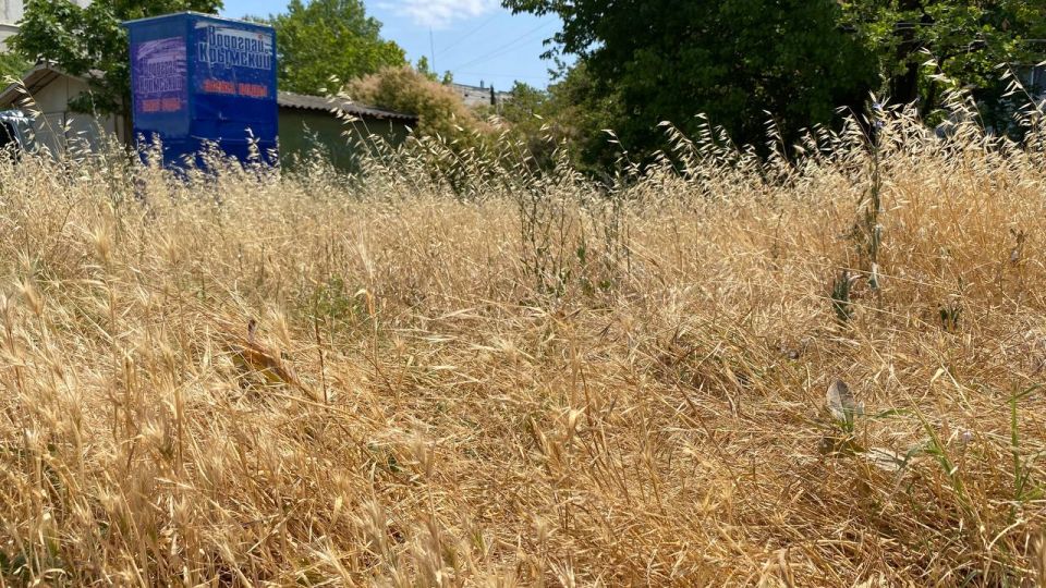 � ������ ����� ����, �� ���������� ���������������� ���, ����� ����� ������ 92 ����, � � ������ ���� � 132 ����