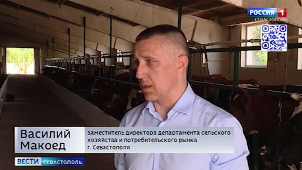 ������������� ����������� �������� � ���� ���� �� ��������� �������������� ����� 11 ��������� ������