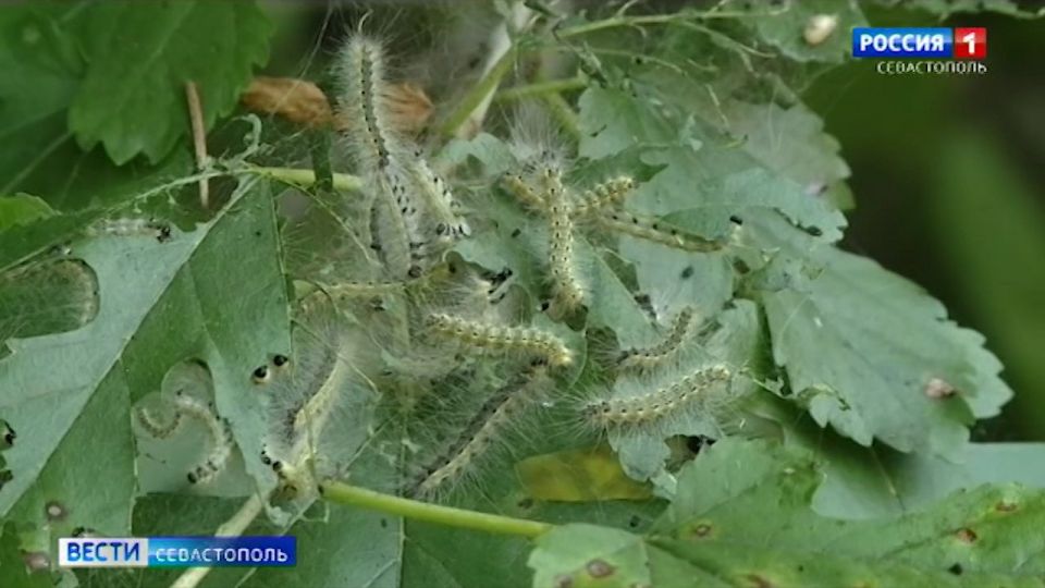 � ����������� ������� ����� ����� ������� ���������� � �����