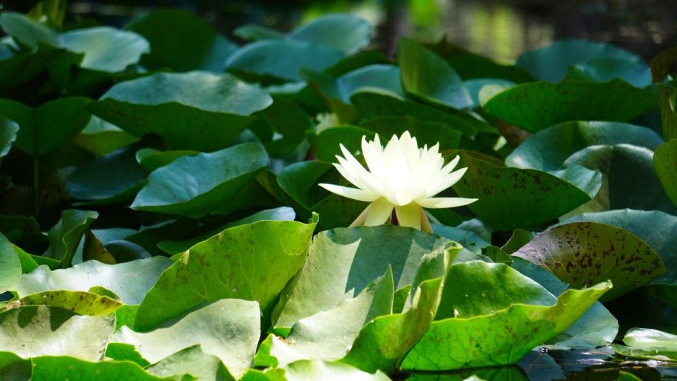 Прогноз погоды в Крыму на 22 июня