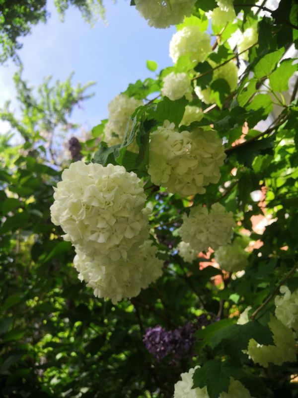 Доброе утро, Севастополь!. 22 июня в Севастополе без осадков
