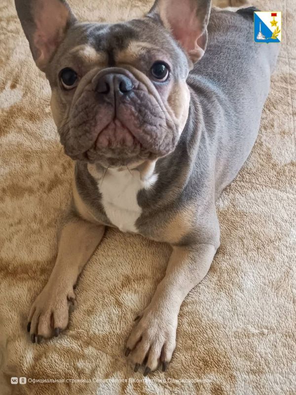 ���������� ����������. � �������, 28 ����, ���������� �������� ���������� ���������� ����� � �����