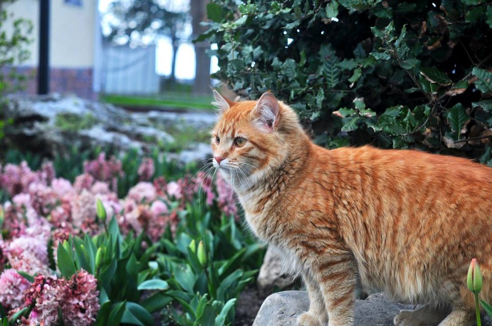 В Севастополе переменная облачность