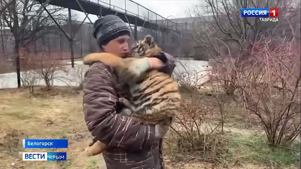 ������������ ����� � ����� ������������ � ����� �������� � ��������� ����� ������ ������.����