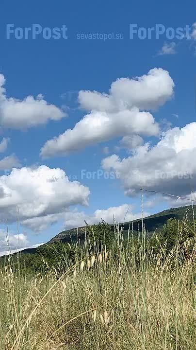 ��������� ������ ���� �������� ��������� ����, � � �������� ����������� �������� � ����