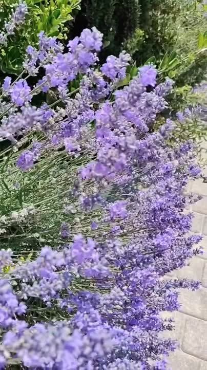 � ������ �����. 24 ���� � ����������� ��� �������