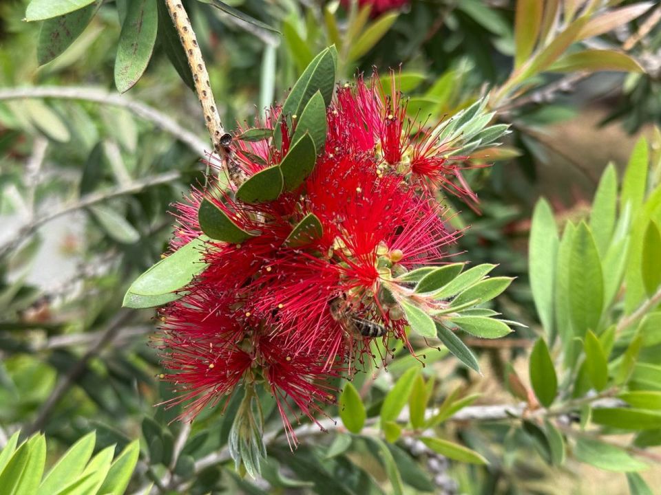 #��� ��� ������?. ���� ��������� ��������� ���������� ������� � ������� ����������