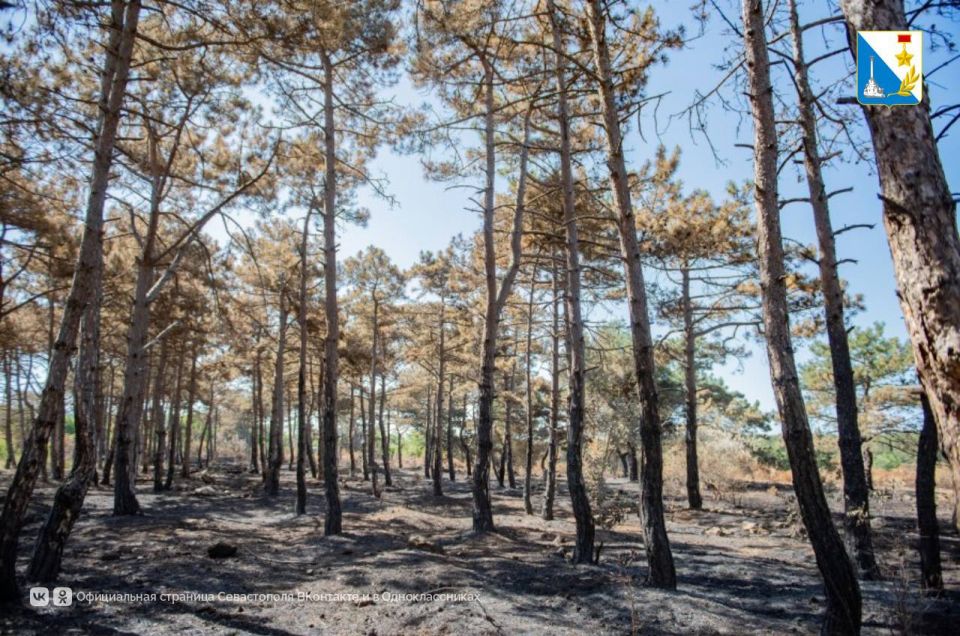 ��������� ������ � ������� ��������