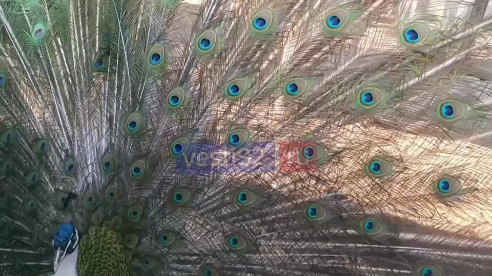 ������ ����, �����������! � �� �����, ��� � ��������� ��������� ������� ������������� � ����������, ����������� � �������������?