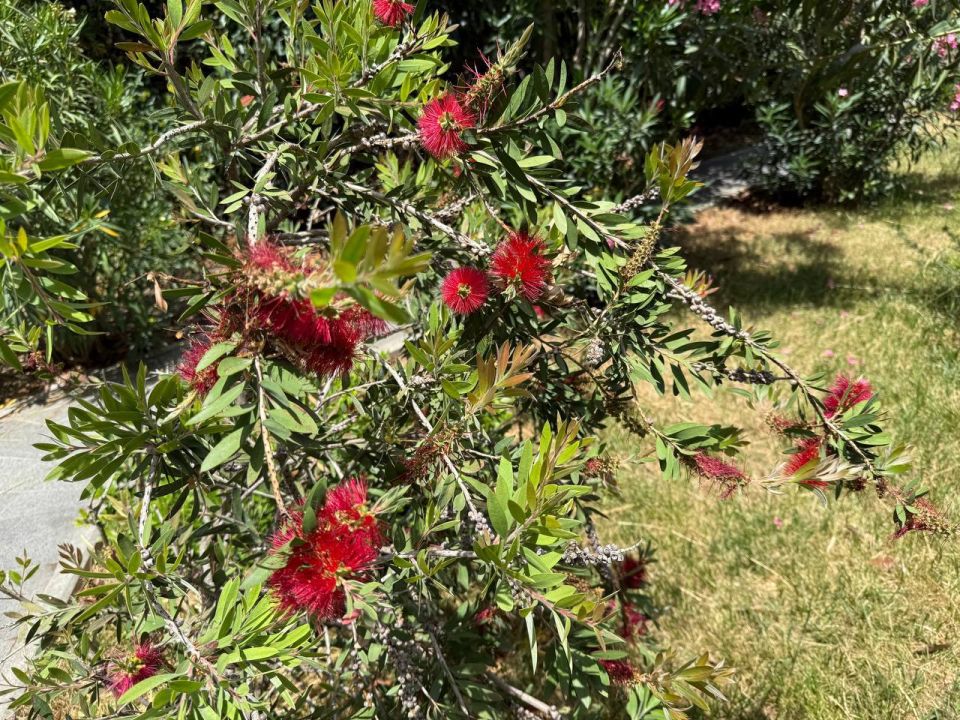 #��� ��� ������?. ���� ��������� ��������� ���������� ������� � ������� ����������