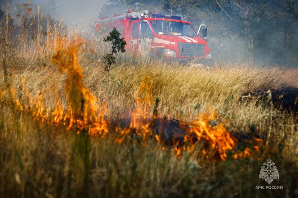 � ����������� ������ 20 �������