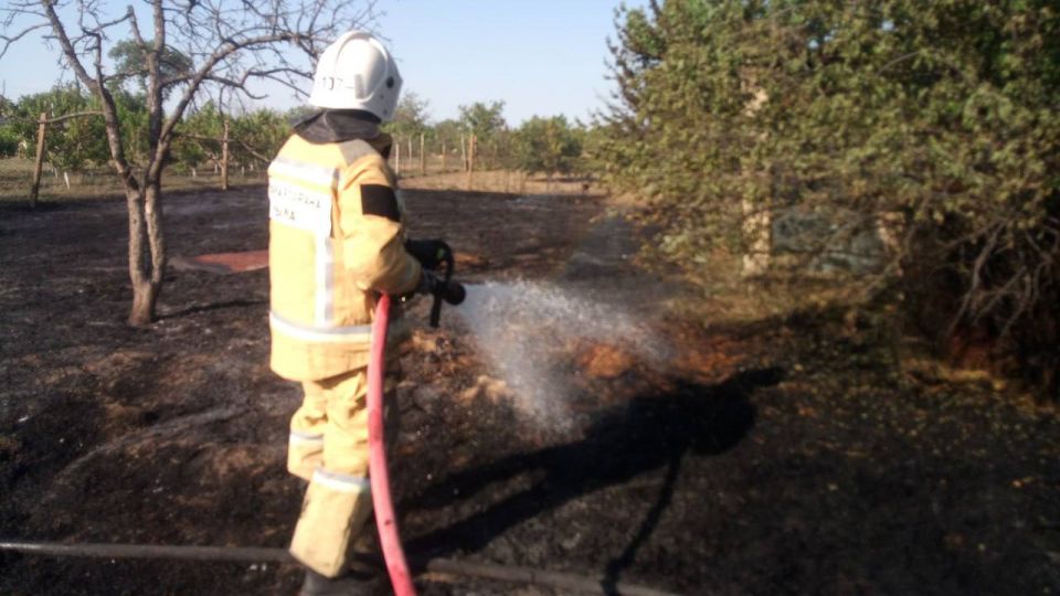 17 ��� �� ����� � ����� ������ ������� �����