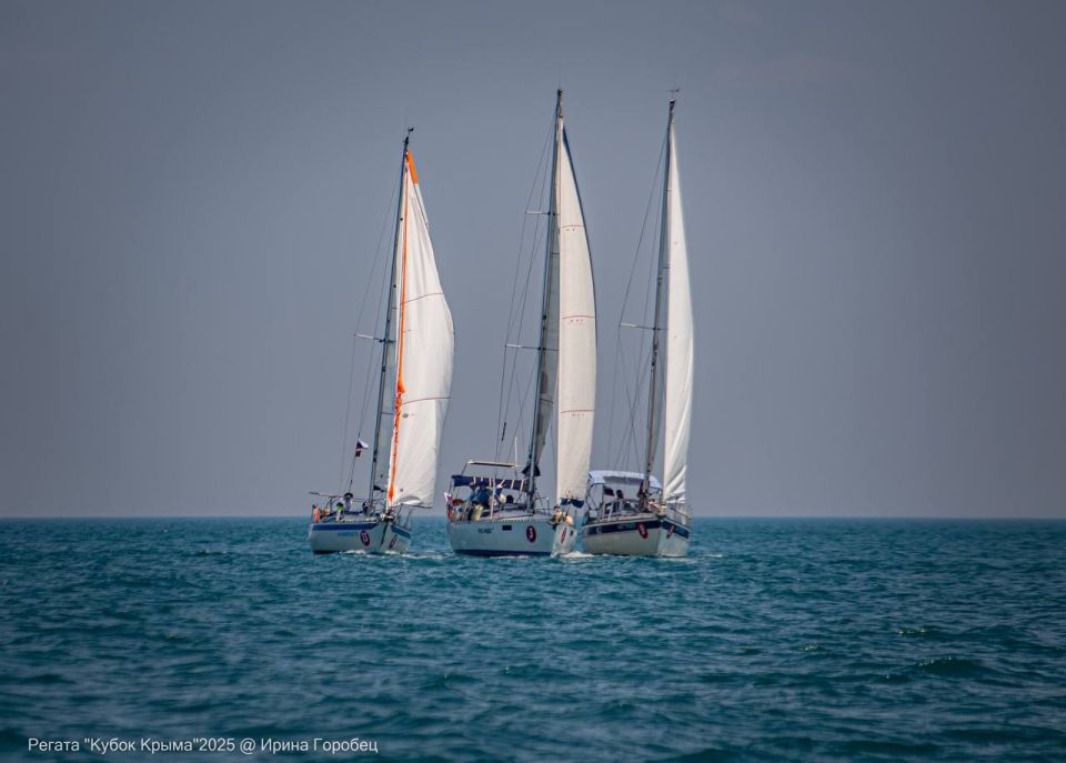 � ����������� ����������� ��������� �������� ������ ������ �����