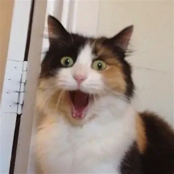 ����� ����� ������� ��������� ����