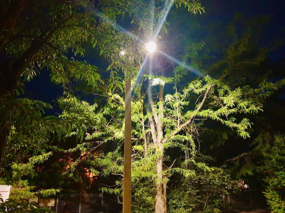 �������� ��������� ����� ������� ��������� �� ������ ����� ������� � ���������