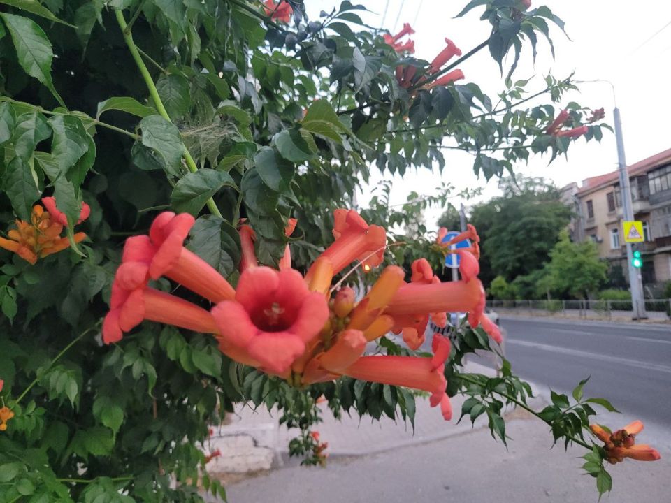 #��� �� ��������?. ��� ������ ����� �������� �� ��������� ��� �������� ����� ����� ���, ��������� ��� � �������� ������� �� ���������, ���� ��� ����� ��������������