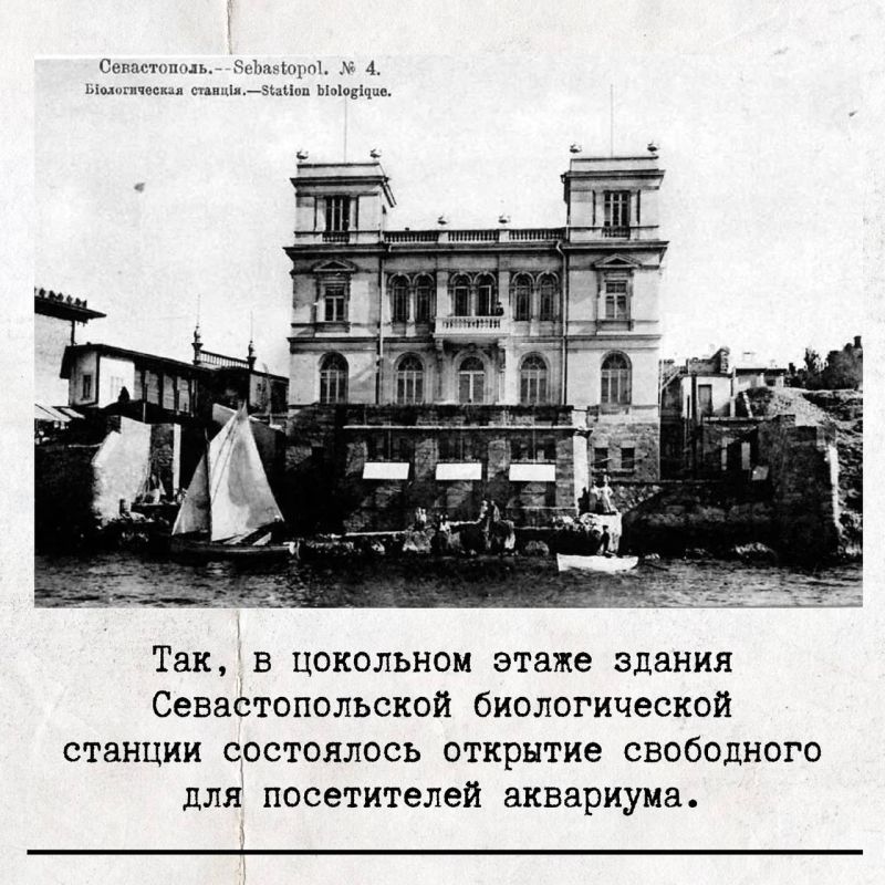 ��������������� ������� �������� � ������ ������� �������� ���������� ������� � ��������� � ������