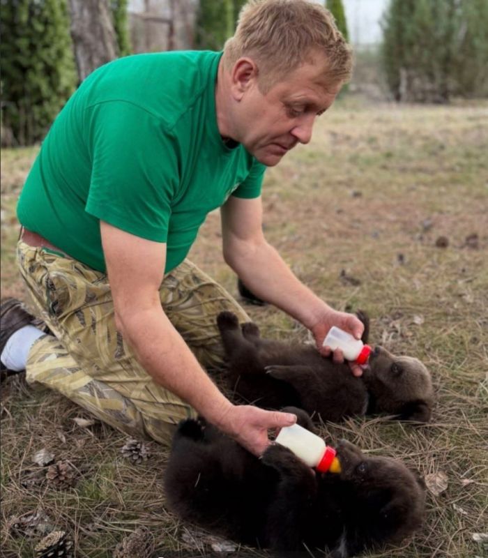 ����� ������� �������� � ������� ���������� ��-�� ����������� �������