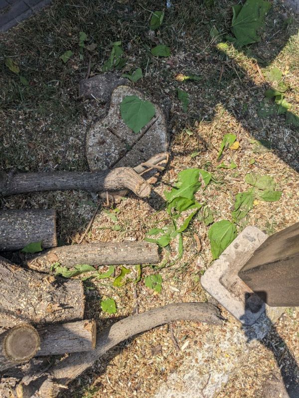 #���_�����. � ������ ����������� ������� ��� �������������� ������ ��� ������