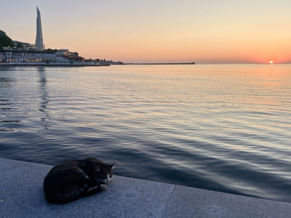 #Закаты Севастополя. Замуррррчательный закат от нашей читательницы Полины Присылайте красоту в наш чат @sevkp_mail_bot Подпишись на «КП-Севастополь»