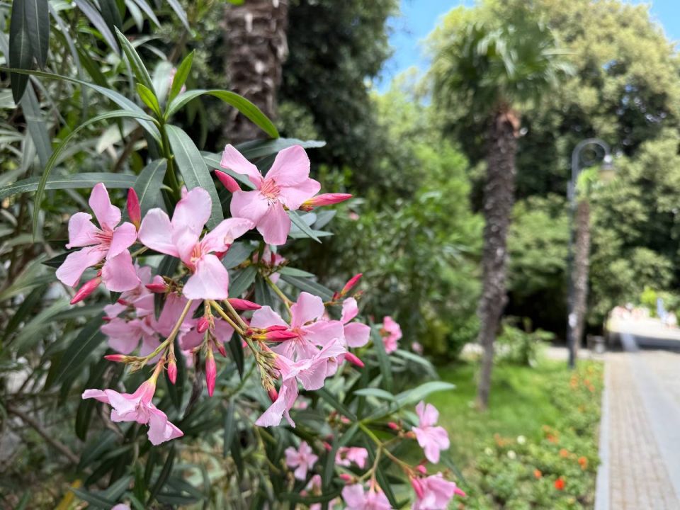 #��� �� ��������?. ��� ������� ������ �������� ����� �� �����