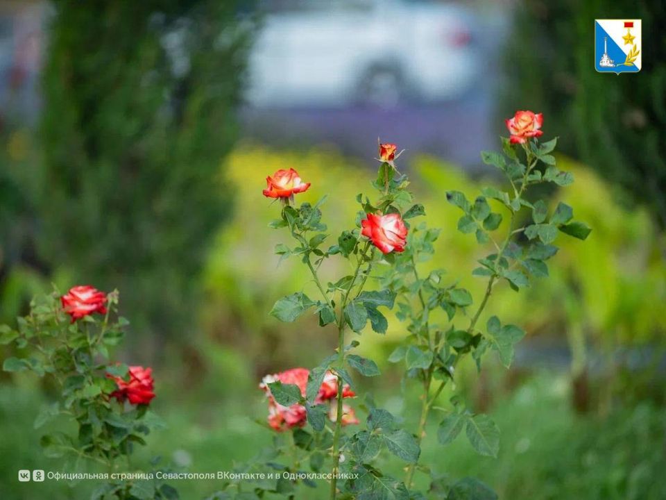 ����������� � ������. �� ������ ��������-�������� ��������� ��������� ����������