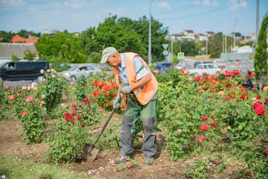 ��������������� ����������� ������������ � ������ �� ������ ��������-��������