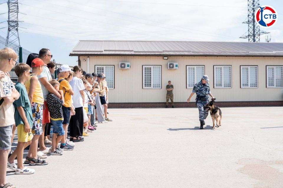 Участники Движения Первых побывали на экскурсии в центре кинологии и кавалерии Участники Движения Первых побывали на экскурсии в центре кинологии и кавалерии