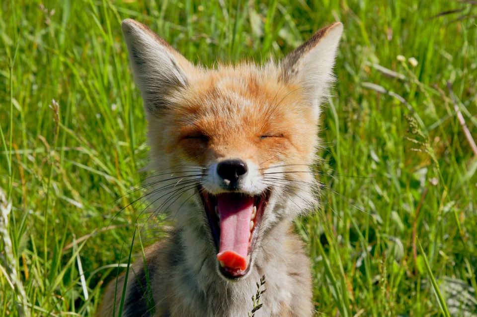 ���� ������� ��������� ����������!