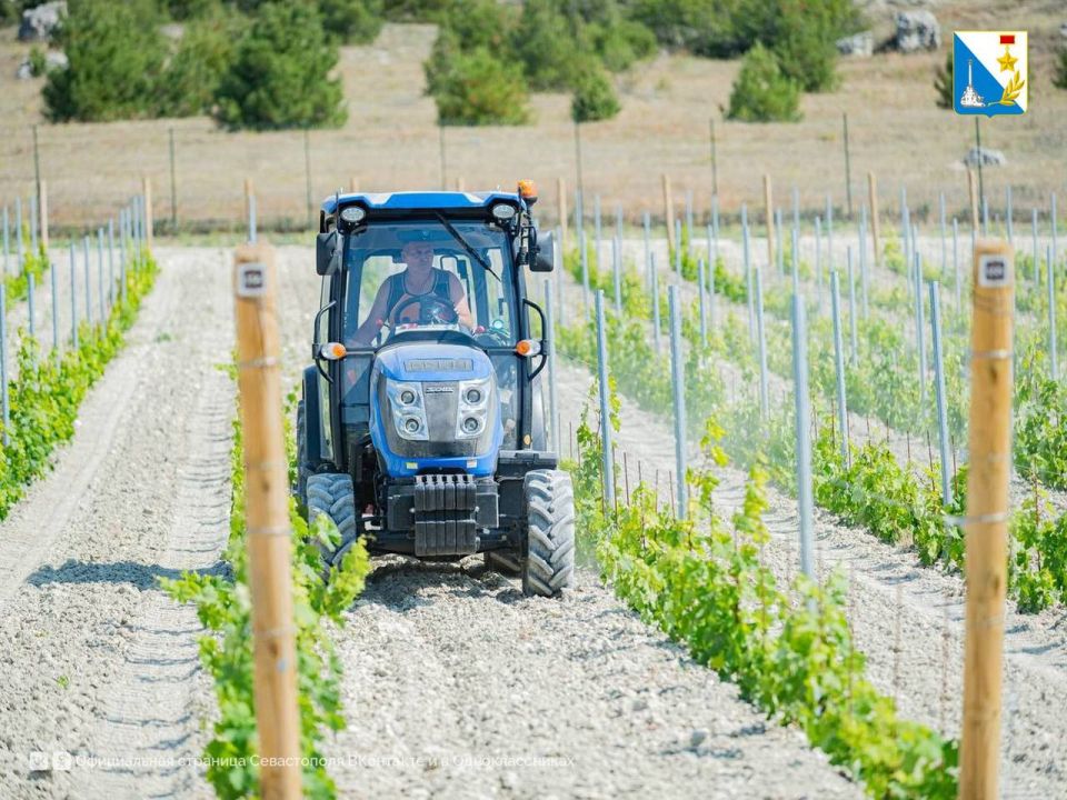 ������������ ������������ � ���������