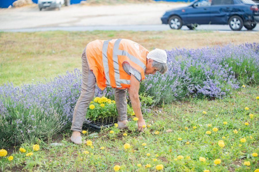 ��������������� ����������� ������������ � ������ �� ������ ��������-��������