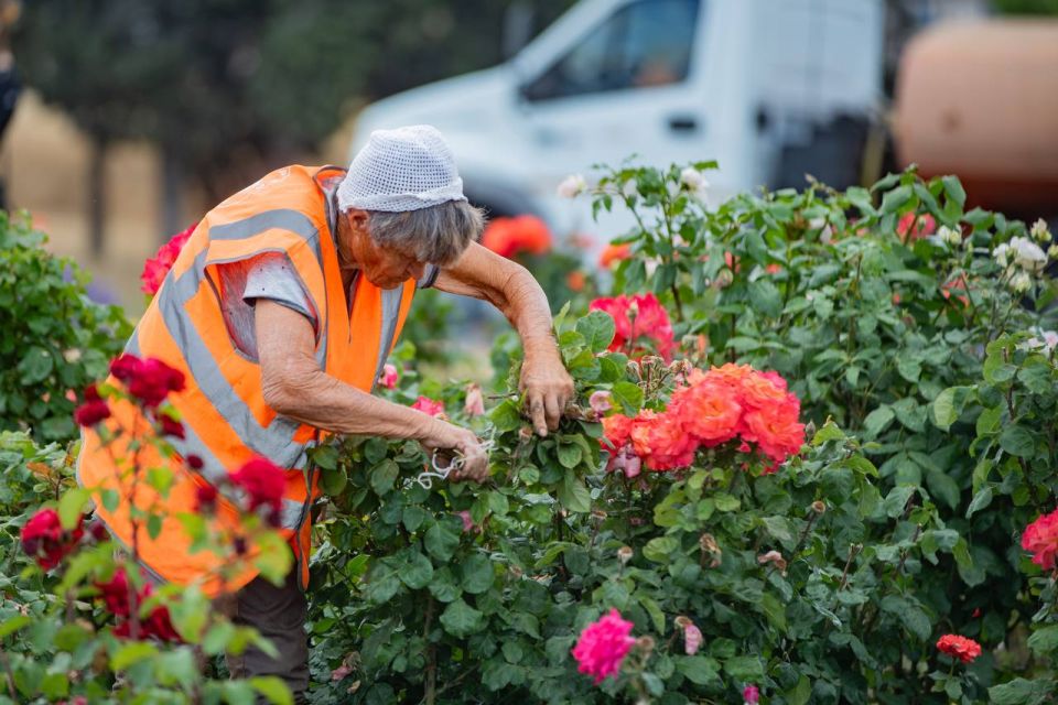 � ����������� �� ������ ��������-�������� ������ ����� 8 ����� ������