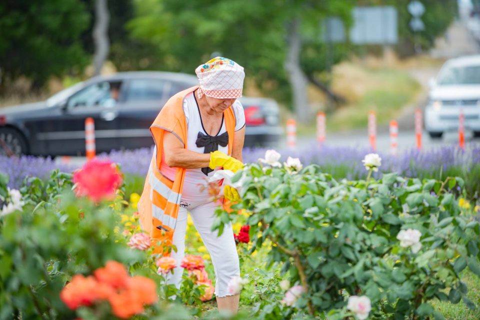 � ����������� �� ������ ��������-�������� ������ ����� 8 ����� ������