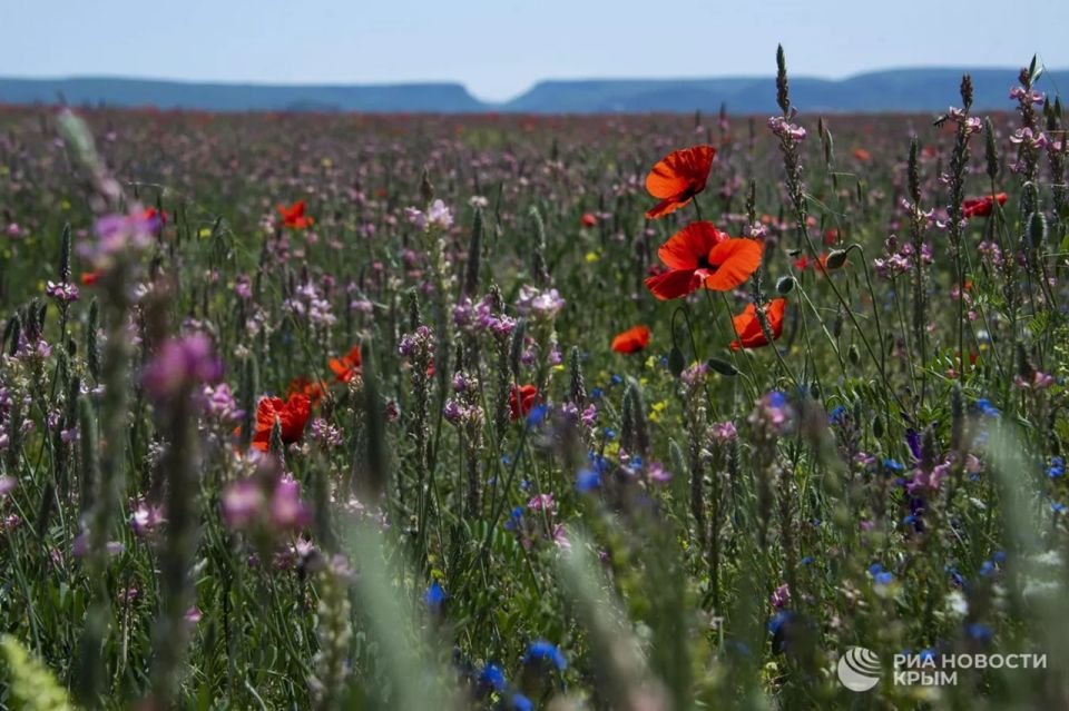 ������� ������ � ����� �� �������