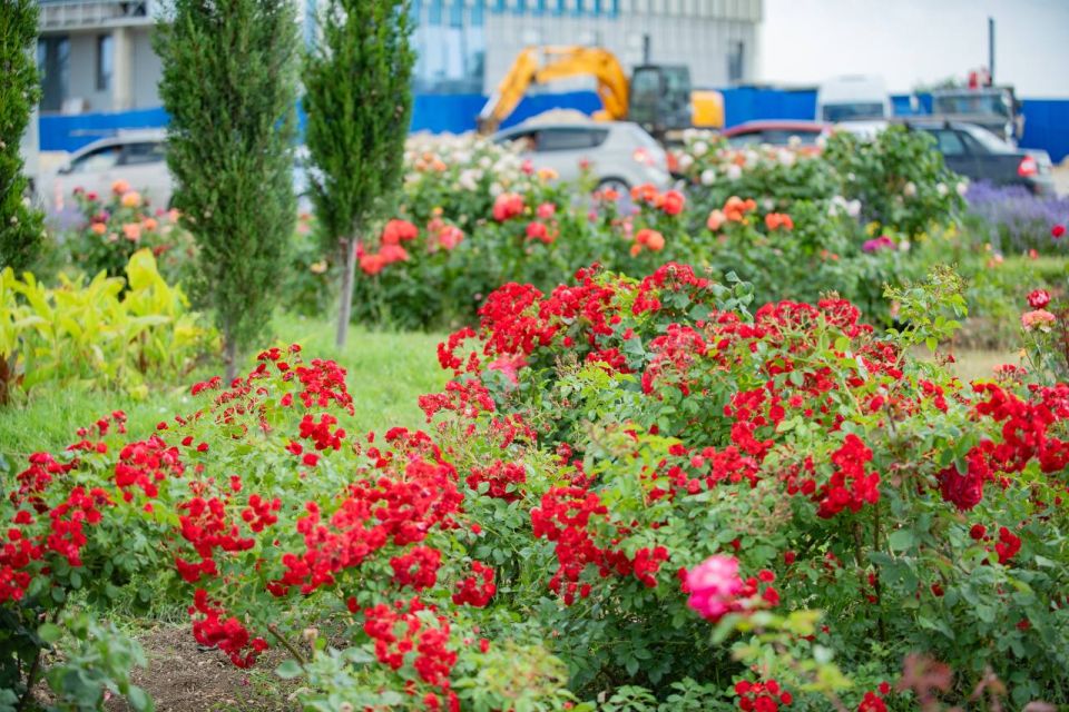 � ����������� �� ������ ��������-�������� ������ ����� 8 ����� ������