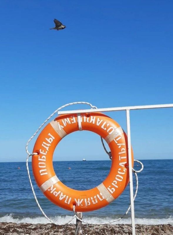 ������� ����������� ����, ������!